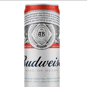 CERVEJA - BUDWEISER LATA