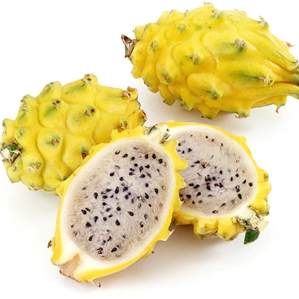 PITAYA AMARELA IMPPORTADA 