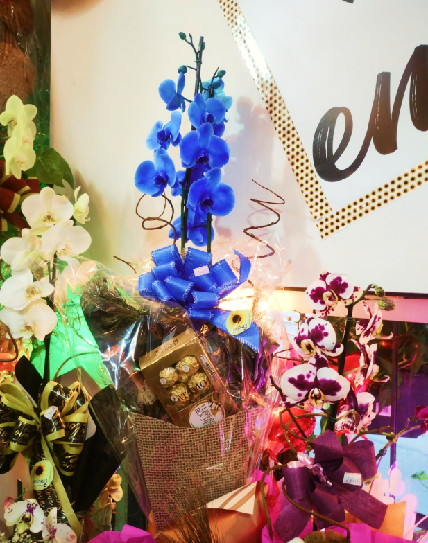  Orquídea Azul em vaso + Ferrero Rocher + Mini Espumante + Taça   (consultar se disponível)