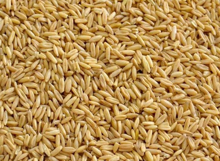 Aveia Descascada 1Kg 