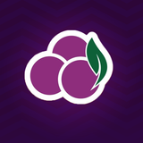 MEGA AÇAÍ & GELATOS 