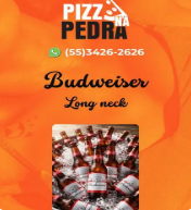 BUD LONG NECK 