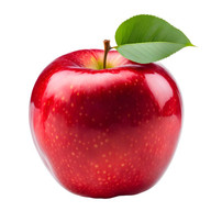 MACA