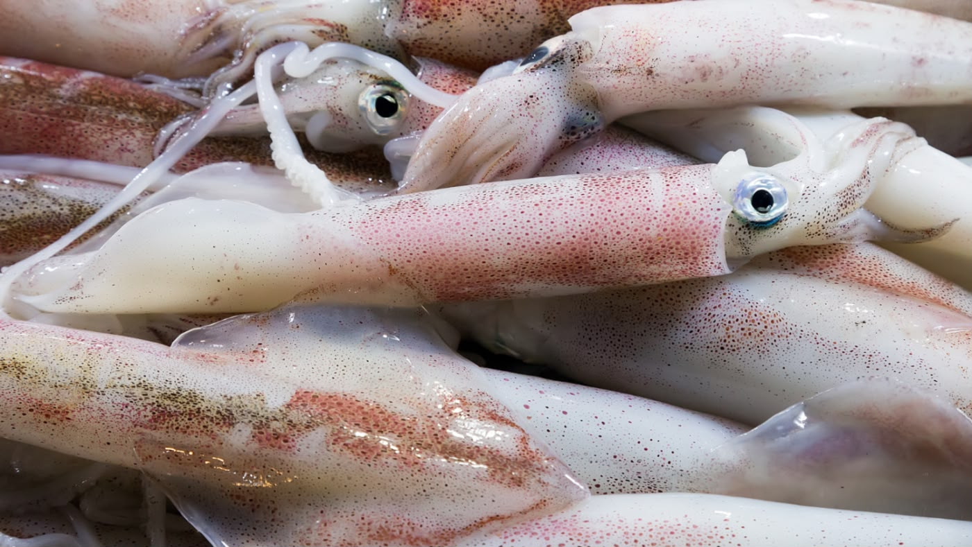 Lula Inteira (1kg)