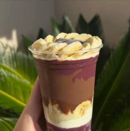AÇAÍ O TOP 500ML