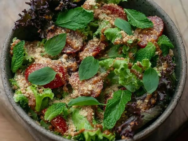 Salada verde orgânica
