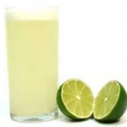 SUCO DE LIMÃO 500ML