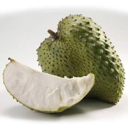 GRAVIOLA KG