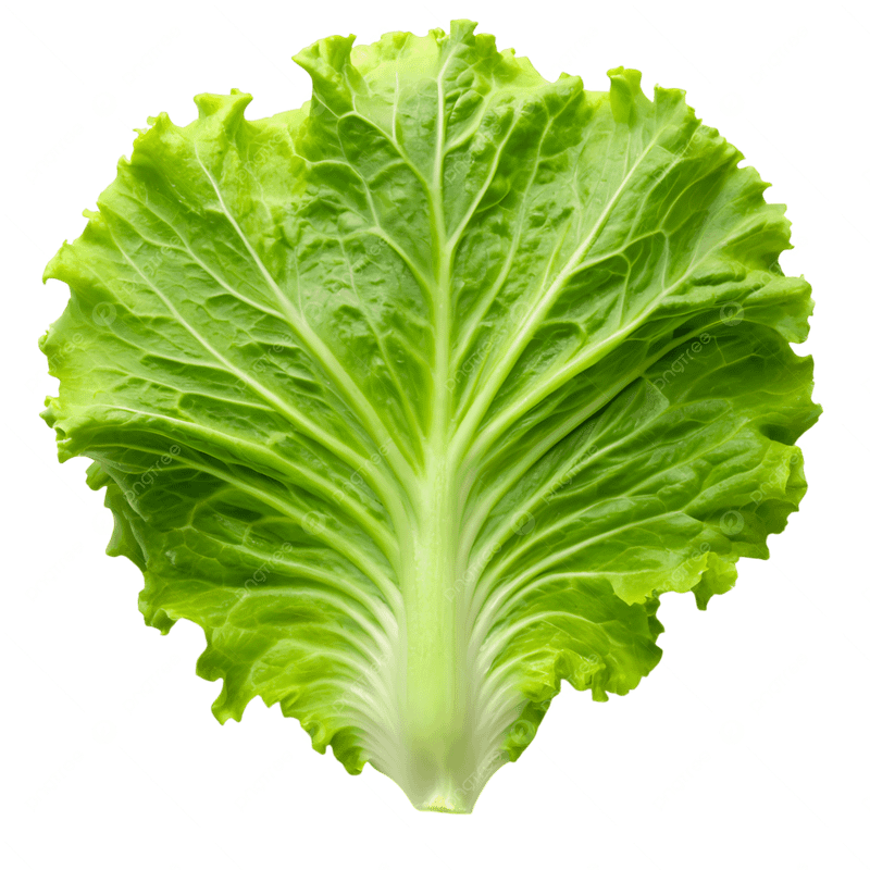 ALFACE
