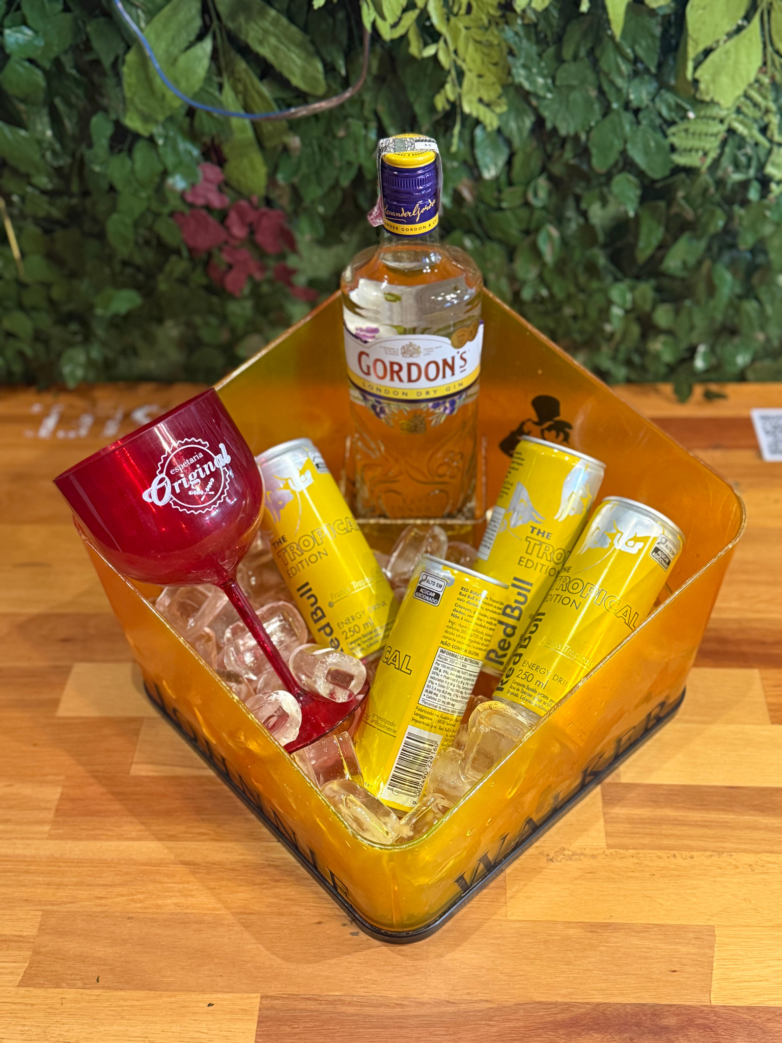 GIN GORDONS REDBULL COMBO