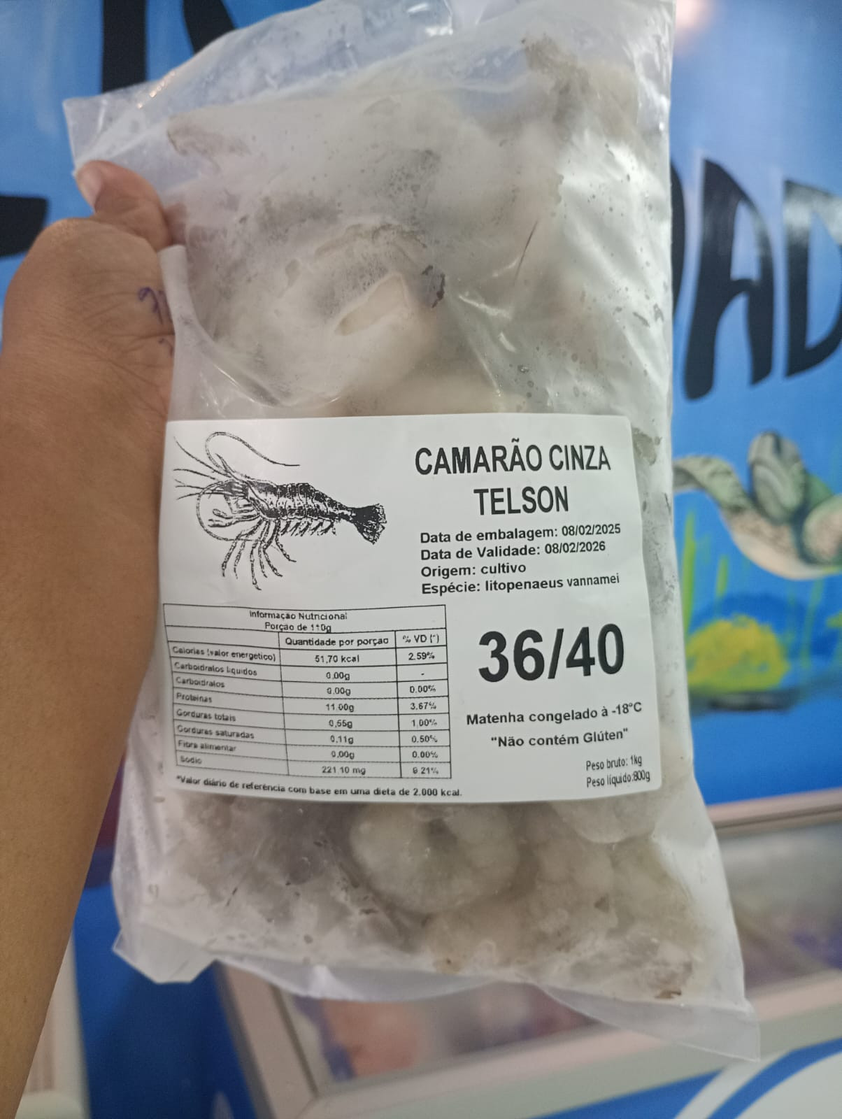 Filé de camarão cinza G 36/40 TELSON