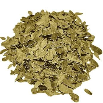 Uva Ursi (100g)