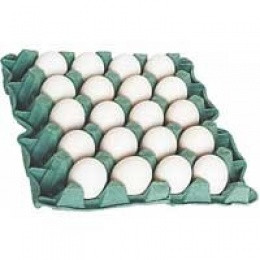OVOS EXTRA GRANDE BRANCO 30 UNIDS