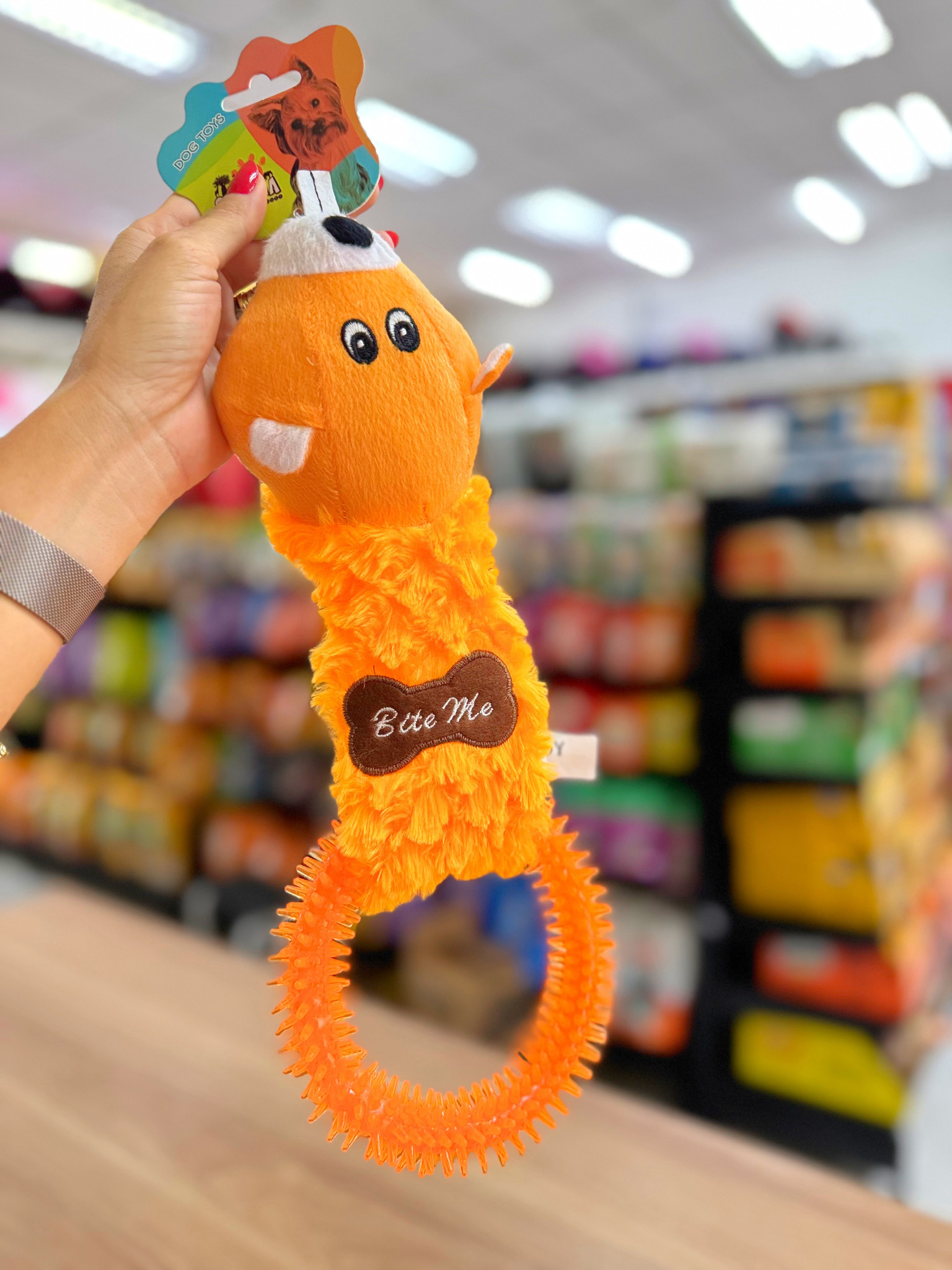 Brinquedo com Mordedor Esquilo Laranja