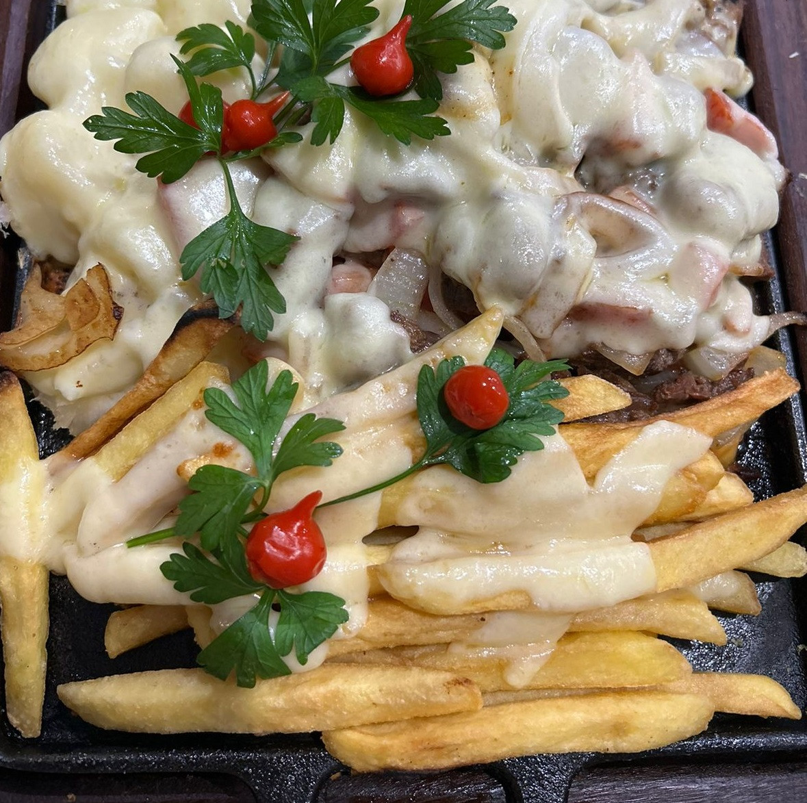 FILE C/ FRITAS - G