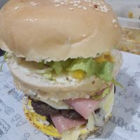 BXD CASEIRA