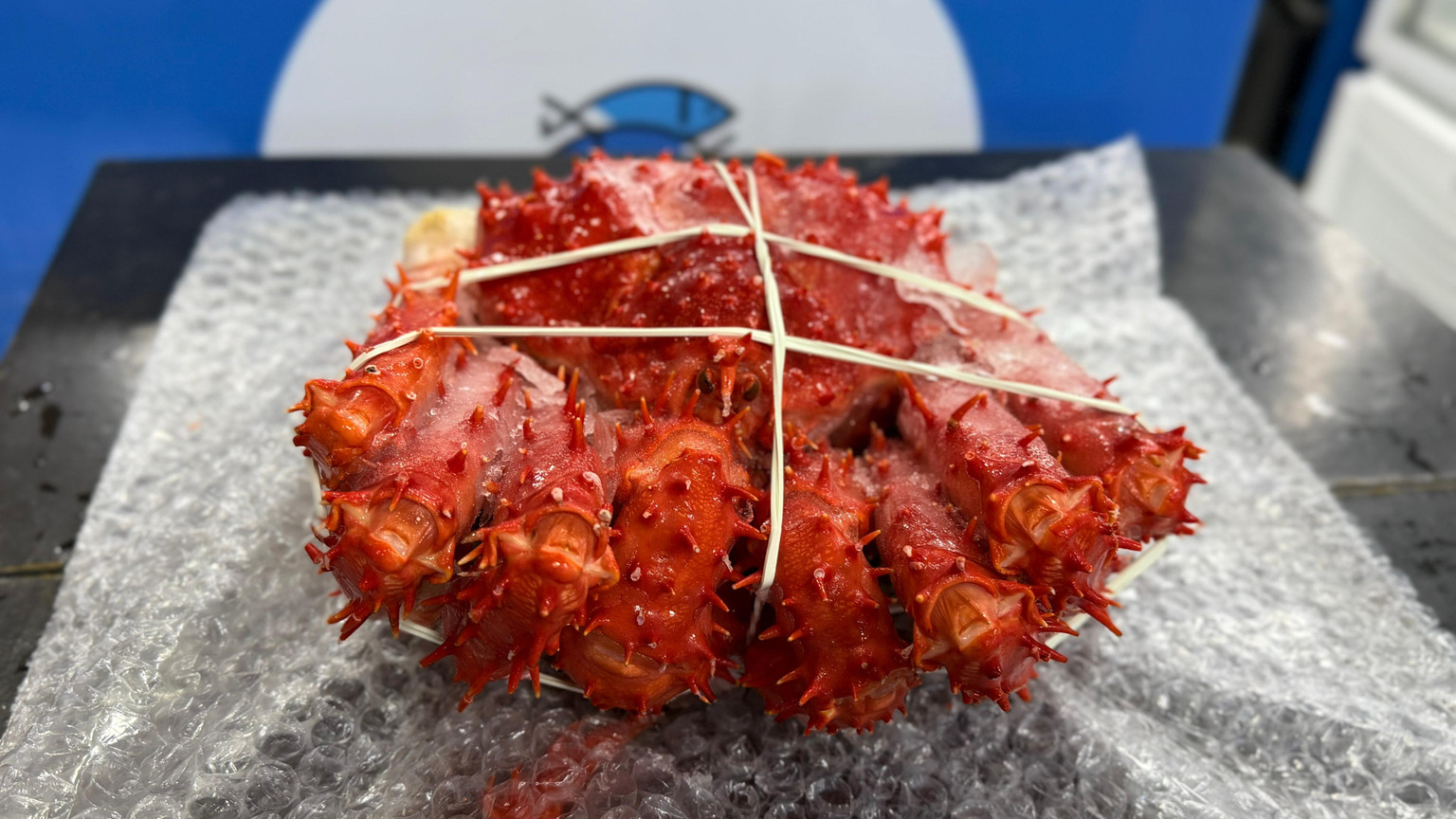 Centolha king crab (1kg)