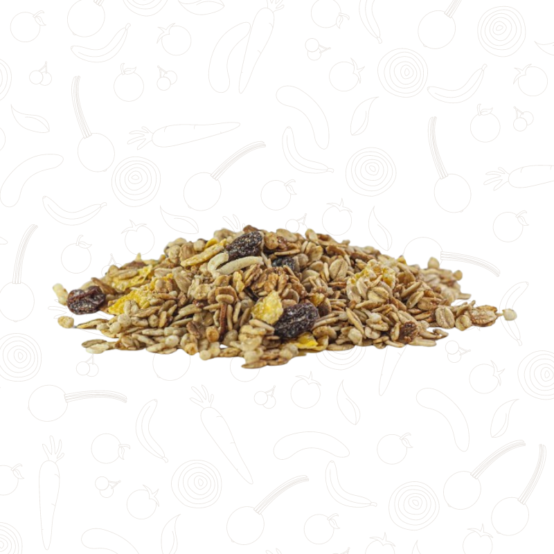 Granola Especial c/ Coco 100g