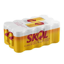 SKOL 269ML CX15