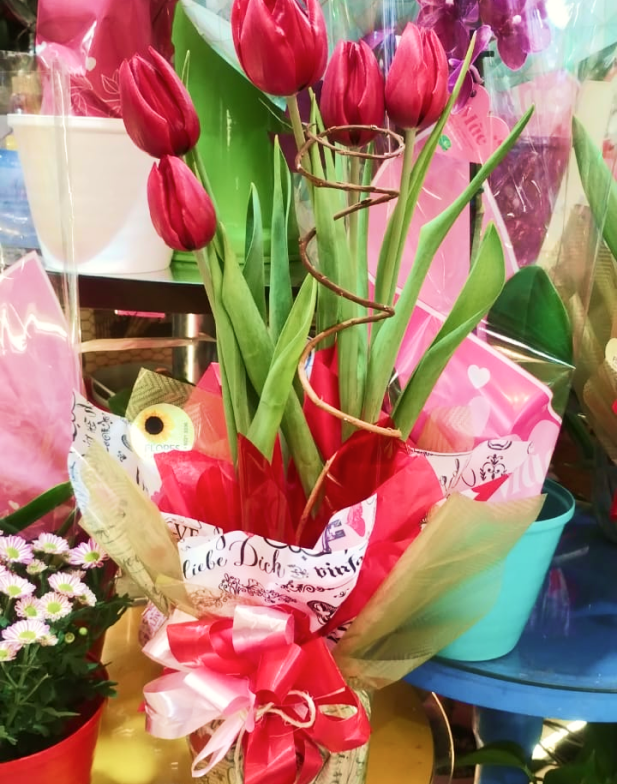 Tulipa em vaso (consultar se disponível)