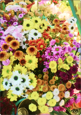 Flores do Campo em galho sem decorar (consultar se disponível)