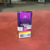 CAMEL KRETEK BERRY