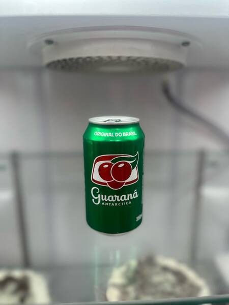 Guaraná Antarctica