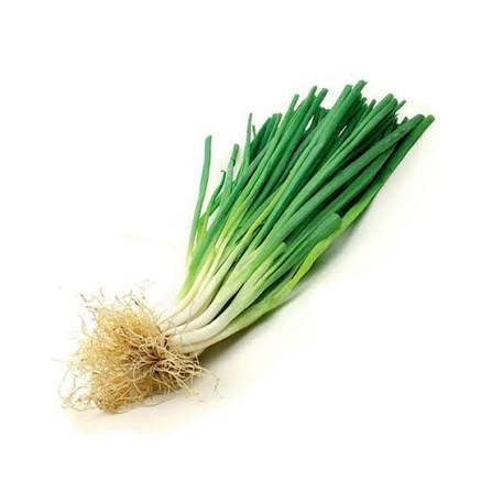 CEBOLINHA UN