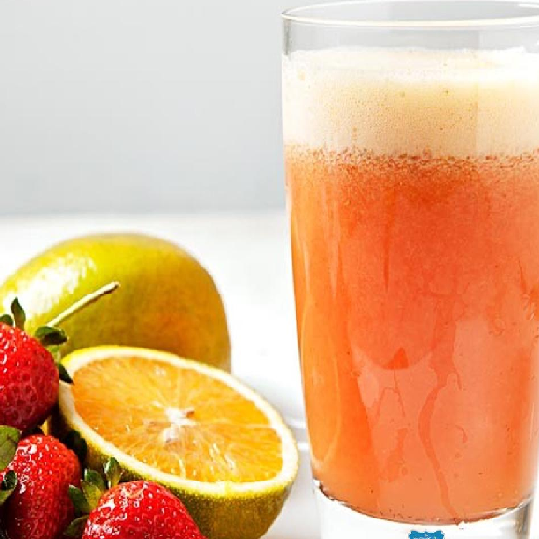 Suco 500ml