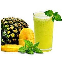 SUCO NAT ABACAXI C  HORT