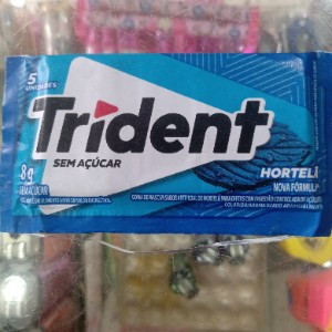 TRIDENT HORTELA