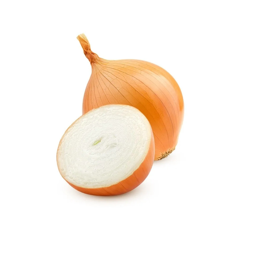CEBOLA