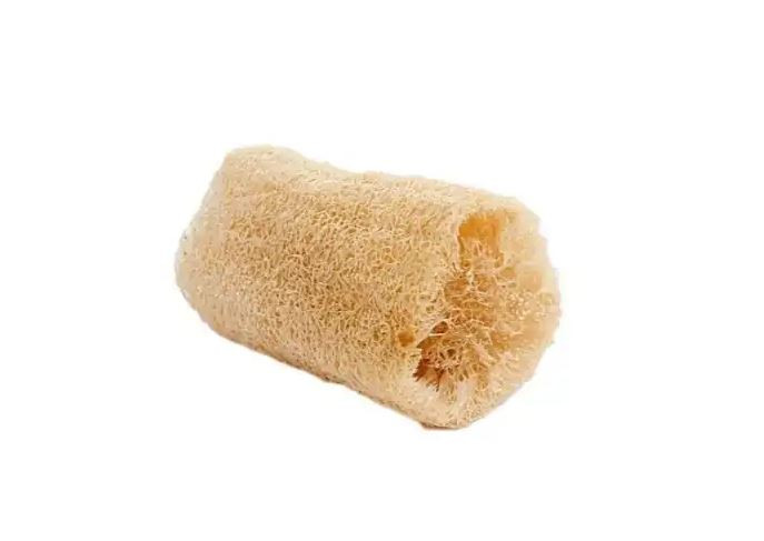 BUCHA BANHO VEGETAL IN NATURA PEDACO
