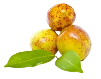 Mangaba 500ml
