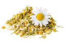 CAMOMILA FLOR