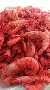 Camarao Seco Graudo (100g)