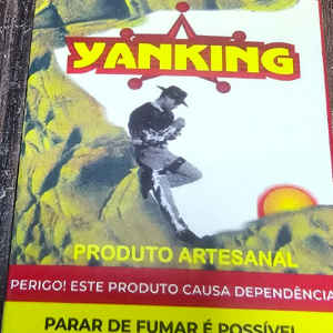 MACO CIGARRO YANKING