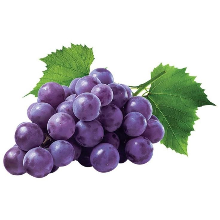 UVA ROXA