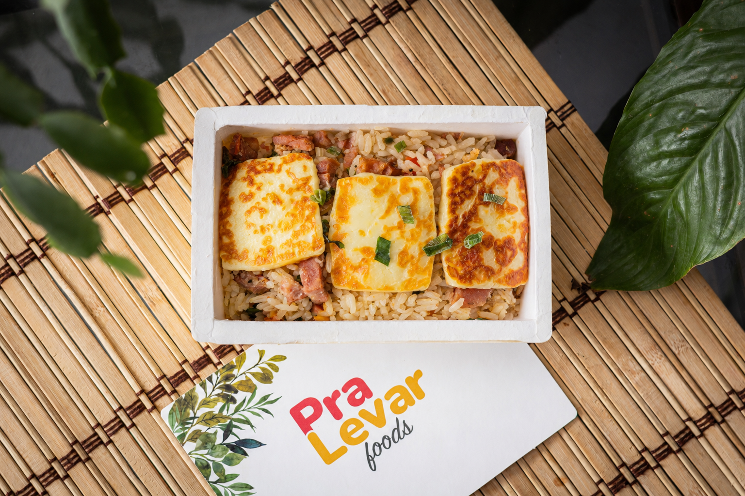 PraLevar - Carreteiro