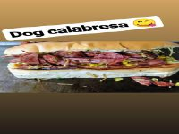DOG CALABRESA