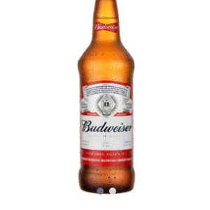 CERV BUDWEISER OW LN 330ML
