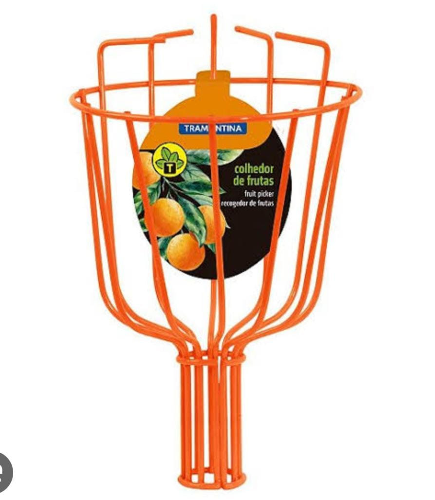 Pega Fruta 