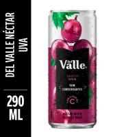 DEL VALLE UVA 290ML