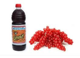 GROSELHA CAMPEAO 900ML