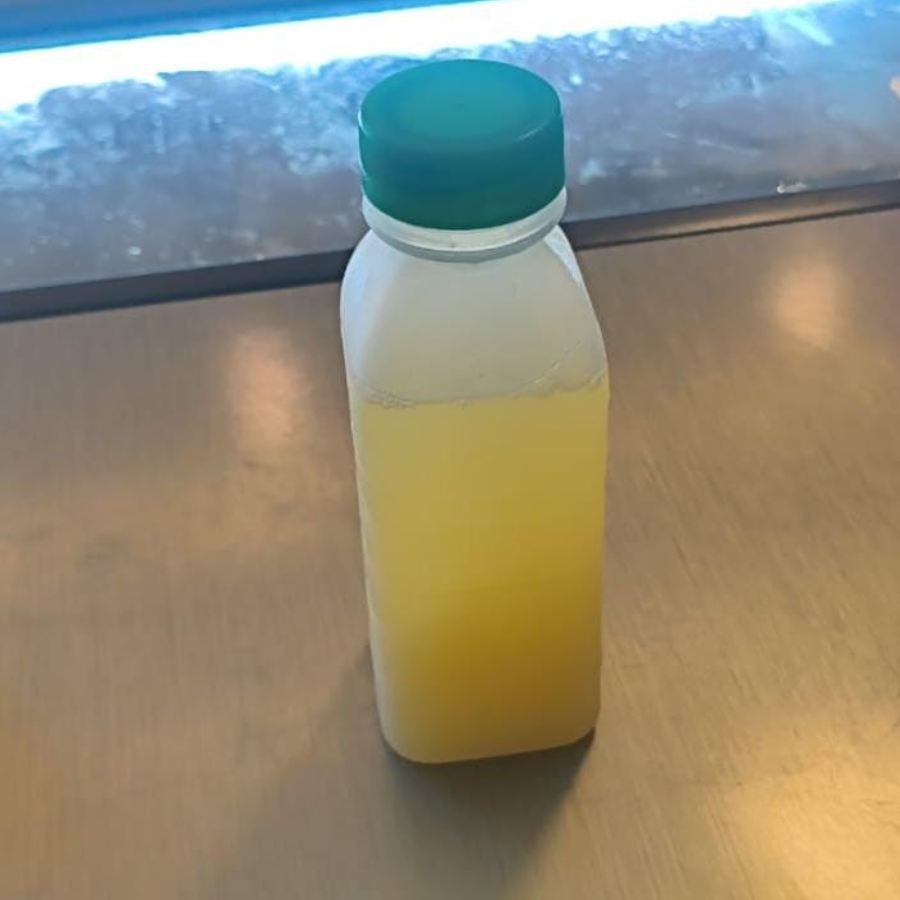 SUCO ABACAXI 300ML