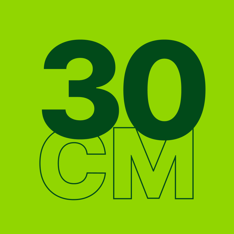 30cm