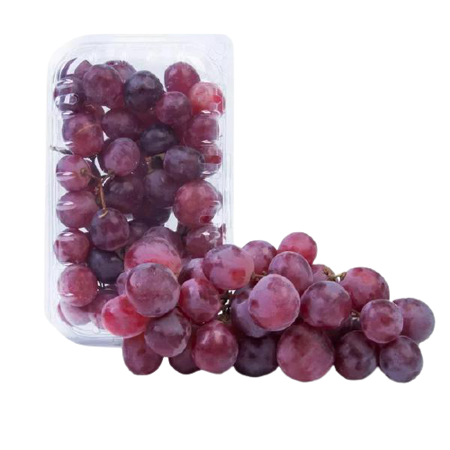 UVA RED GLOBE BDJ500G