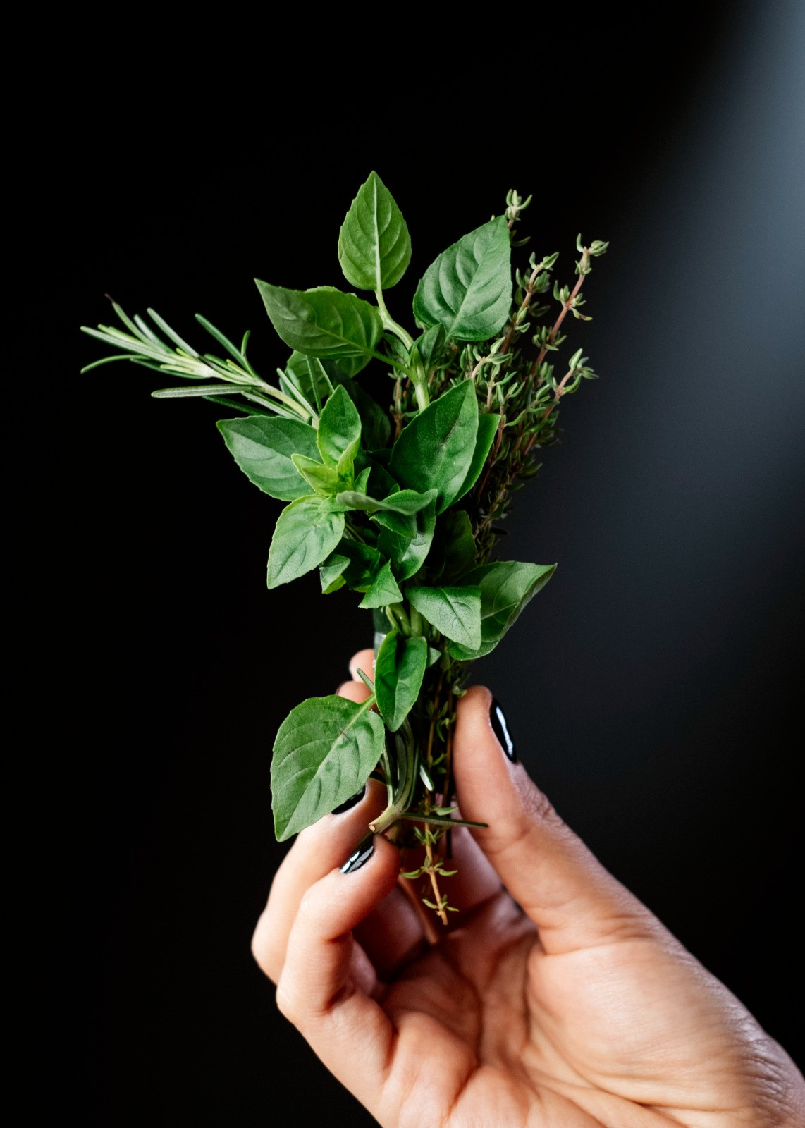 Buquê de ervas frescas