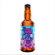 CERVEJA HOCUS POCUS INTERSTELLAR  500ML