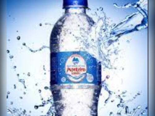 Água Monteiro Lobato 330ml sem gás